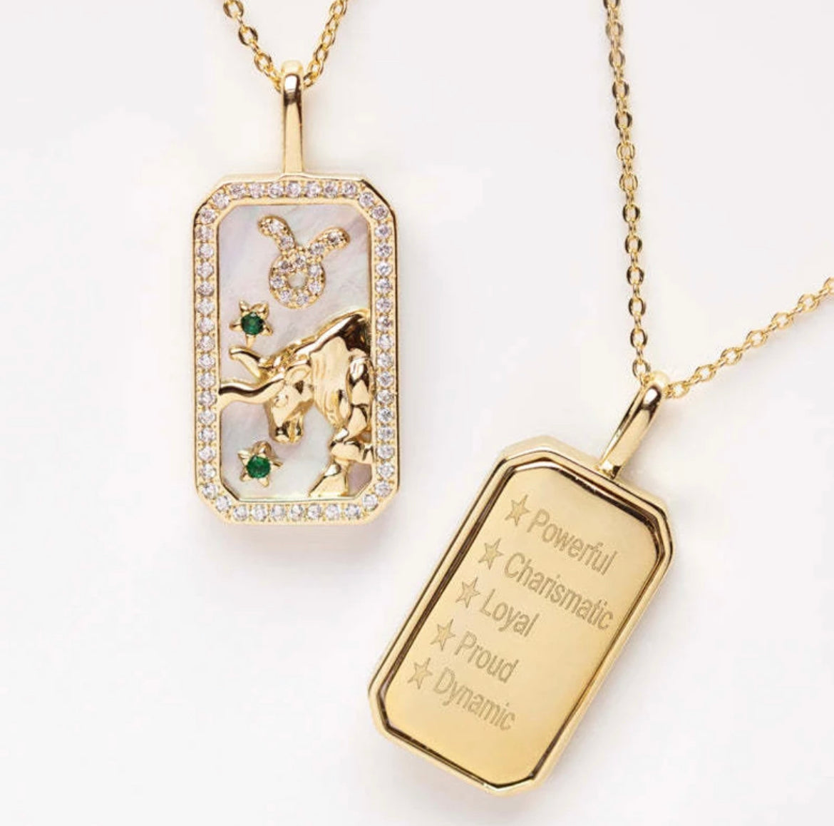 Gold Double Sided Zodiac Necklace