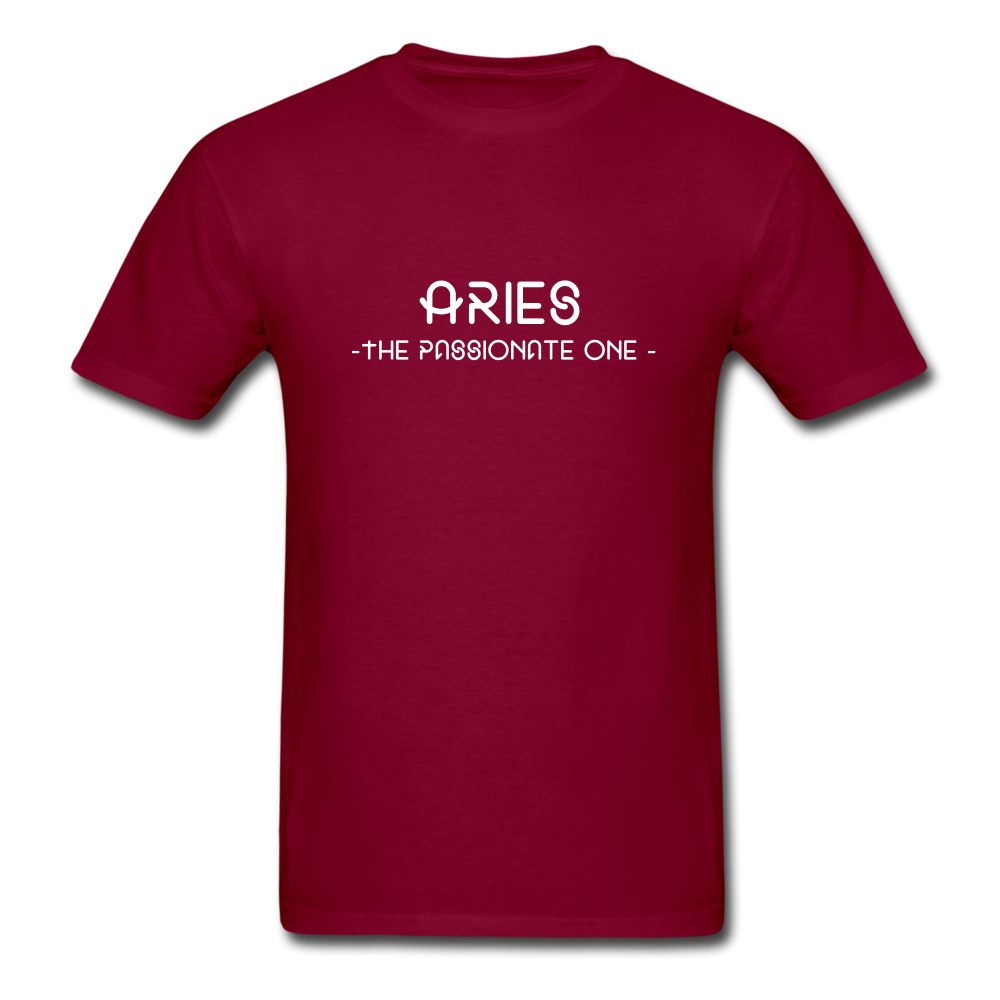 Aries Classic T-Shirt - burgundy